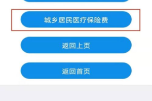 步步高i606手机主题个性化设置与优化方案