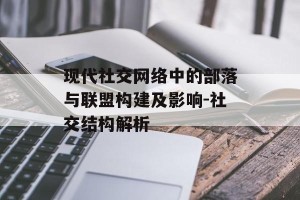 现代社交网络中的部落与联盟构建及影响-社交结构解析