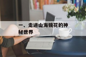 一、走进山海镜花的神秘世界