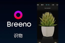 手机单机大型游戏助手,提升游戏性能与体验-全面解析