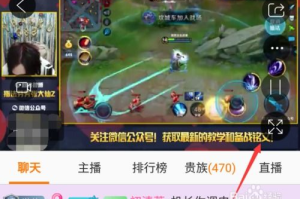 斗鱼游戏中心手机游戏,享受畅快游戏体验-热门游戏与优化策略解析