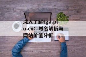 深入了解tga.plu.cn：域名解析与网站价值分析