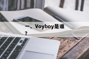 一、Voyboy是谁？