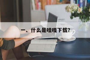 一、什么是哇嘎下载？