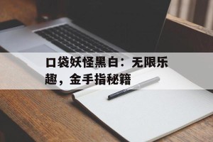 口袋妖怪黑白：无限乐趣，金手指秘籍