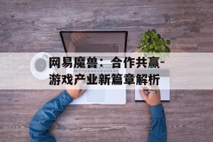 网易魔兽：合作共赢-游戏产业新篇章解析