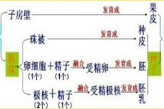繁殖后代手机游戏,探索亲子关系与互动乐趣-玩法与心理分析