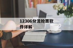12306分流抢票软件详解