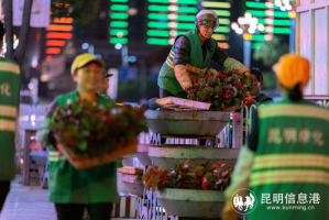 播久影视：十年铸就的荧幕传奇