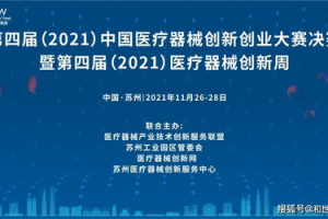 手机解谜游戏排行榜, 揭秘最受欢迎的智力挑战-游戏特色分析