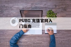 PUBG 充值官网入门指南