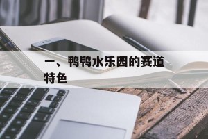 一、鸭鸭水乐园的赛道特色