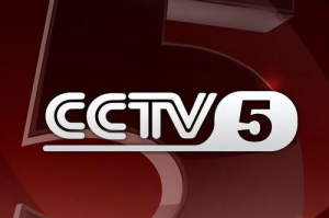 CCTV5十体育直播现场,高清赛事盛宴-观赛体验优化解析