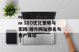 op.52pk.com SEO优化策略与实践-提升网站排名与用户体验