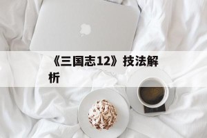 《三国志12》技法解析