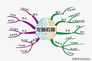 适合成年人玩的手机游戏,挑选指南与热门推荐