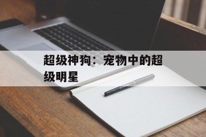 超级神狗：宠物中的超级明星
