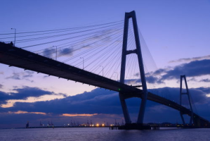 海外影视网站：探索全球影视文化的数字窗口