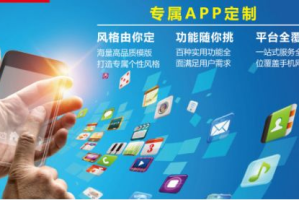 手机游戏App开发,技术创新与市场策略解析