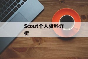 Scout个人资料详析