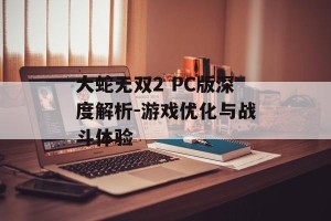 大蛇无双2 PC版深度解析-游戏优化与战斗体验