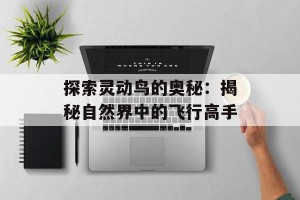 探索灵动鸟的奥秘：揭秘自然界中的飞行高手