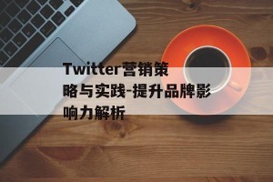 Twitter营销策略与实践-提升品牌影响力解析