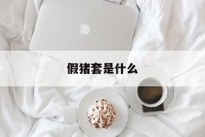 假猪套是什么