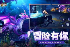 龙的游戏手机版,特色玩法与优化策略-游戏体验解析