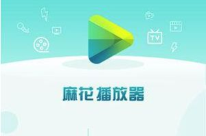 麻花影视VIP升级全攻略：会员特权与性价比分析