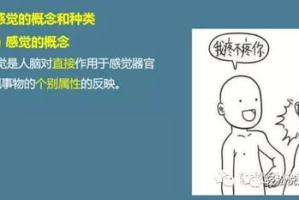 激发兴奋感，提升生活与工作效率-兴奋心态的养成策略