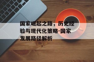 国家崛起之路，历史经验与现代化策略-国家发展路径解析