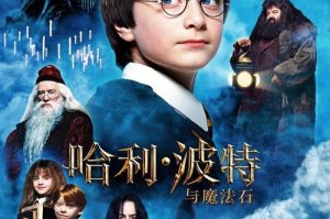 菲奈尔影视：光影背后的艺术探索者