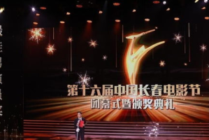 人人影视网官网：曾经的影视爱好者天堂，如今何去何从？