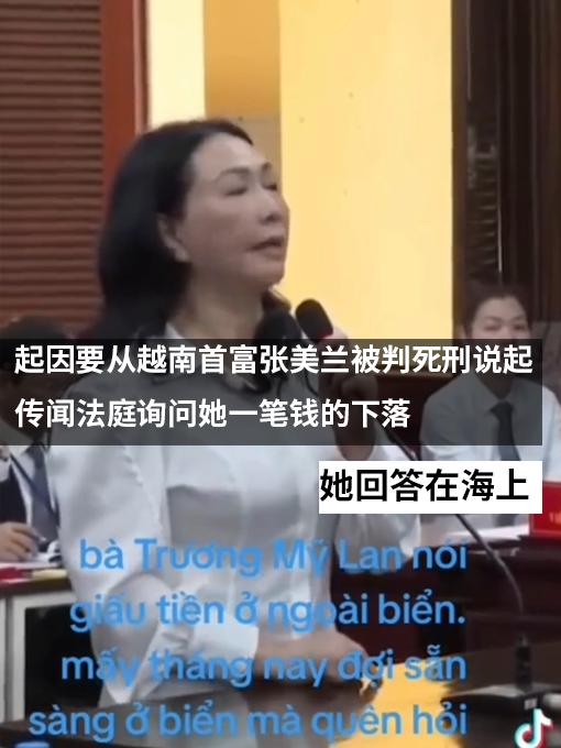越南女首富被判刑：网友为找到她的宝藏集体化身海贼王