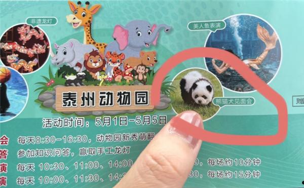 江苏泰州动物园有狗冒充熊猫 园方：确实是松狮染的