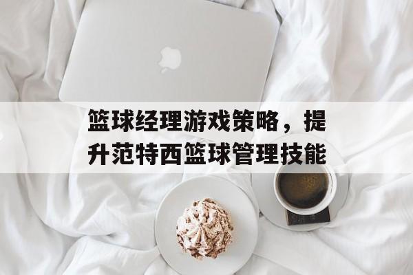 篮球经理游戏策略，提升范特西篮球管理技能