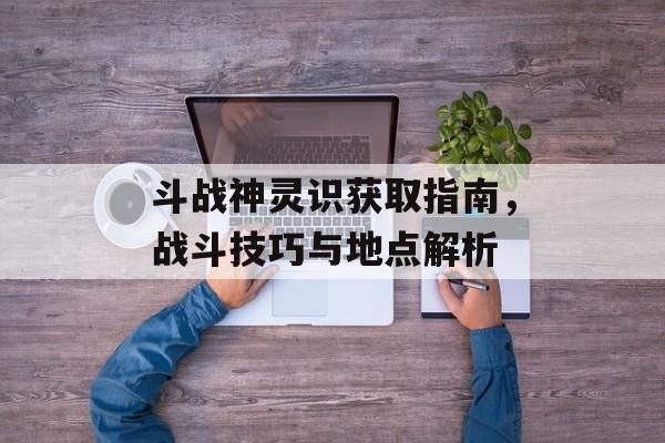 斗战神灵识获取指南，战斗技巧与地点解析