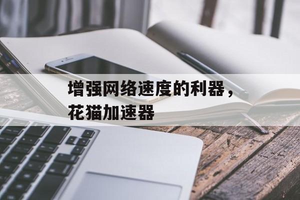 增强网络速度的利器,花猫加速器 增强网络速度的利器,花猫加速器