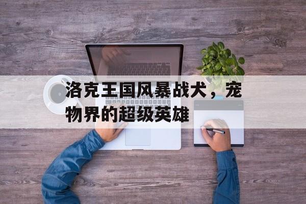 洛克王国风暴战犬,宠物界的超级英雄 洛克王国风暴战犬,宠物界的超级英雄