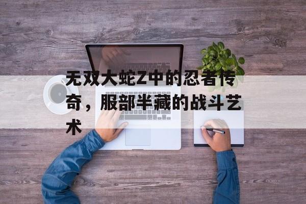 无双大蛇Z中的忍者传奇,服部半藏的战斗艺术 无双大蛇Z中的忍者传奇,服部半藏的战斗艺术
