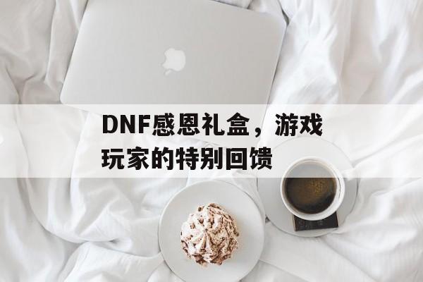 DNF感恩礼盒,游戏玩家的特别回馈 DNF感恩礼盒,游戏玩家的特别回馈
