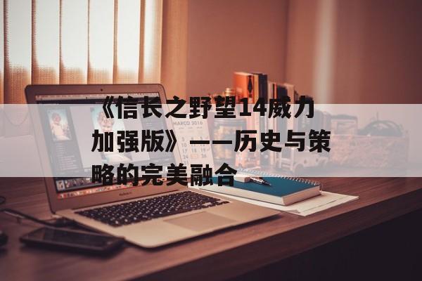《信长之野望14威力加强版》——历史与策略的完美融合