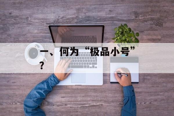 一、何为“极品小号”？