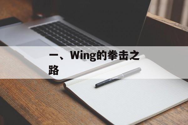 一、Wing的拳击之路