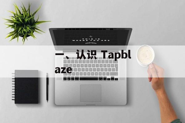 一、认识 Tapblaze