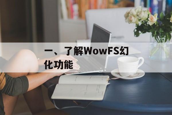 一、了解WowFS幻化功能 一、了解WowFS幻化功能