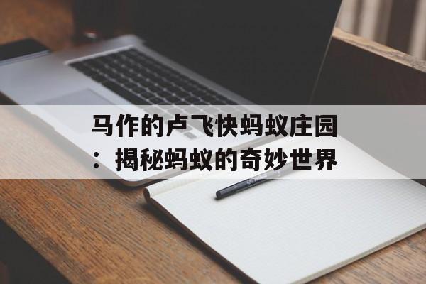 马作的卢飞快蚂蚁庄园:揭秘蚂蚁的奇妙世界 马作的卢飞快蚂蚁庄园:揭秘蚂蚁的奇妙世界