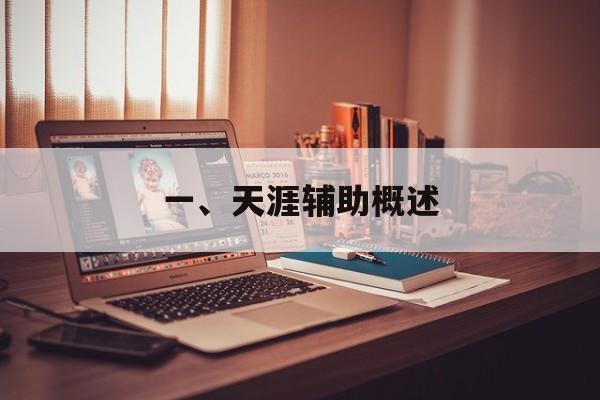 一、天涯辅助概述 一、天涯辅助概述