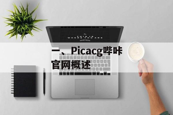 一、Picacg哔咔官网概述